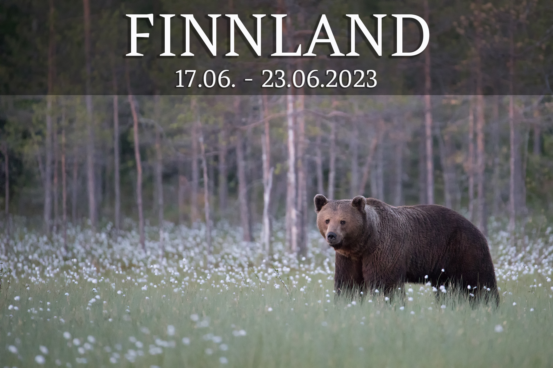 Finnland2023