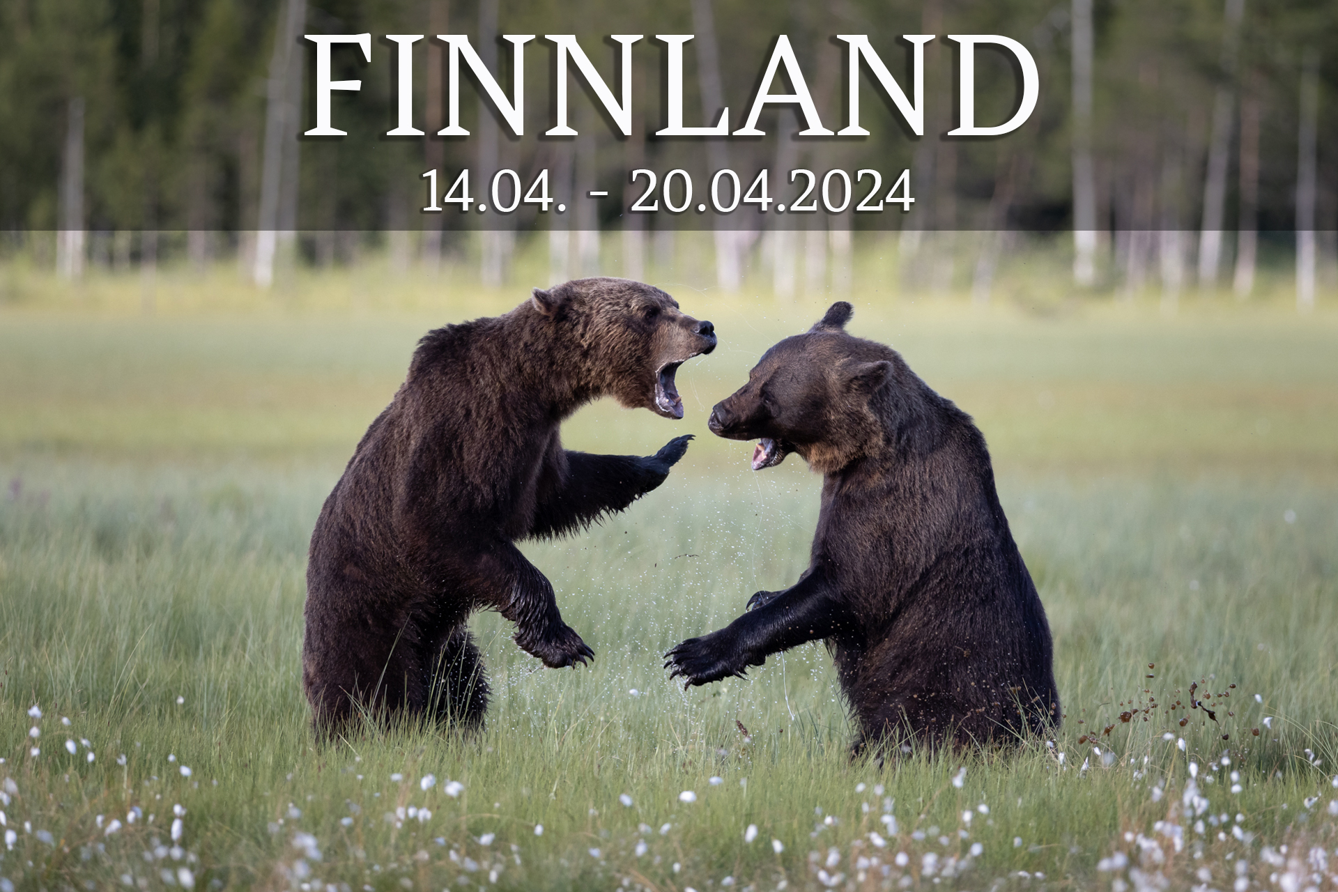 Finnland2022