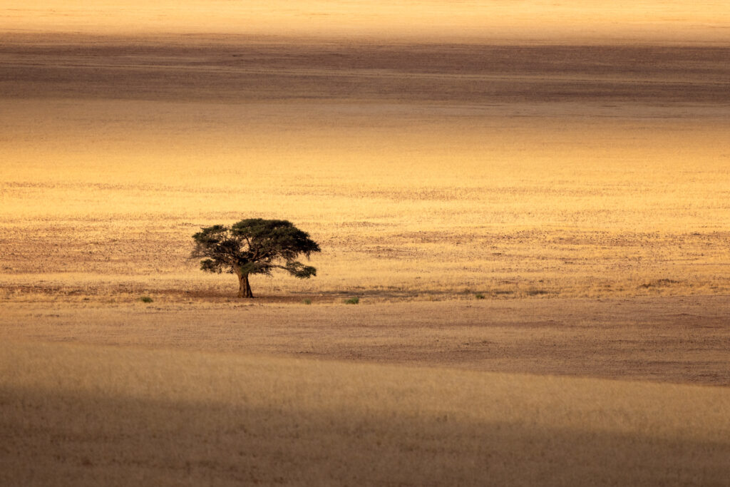 Namibia16