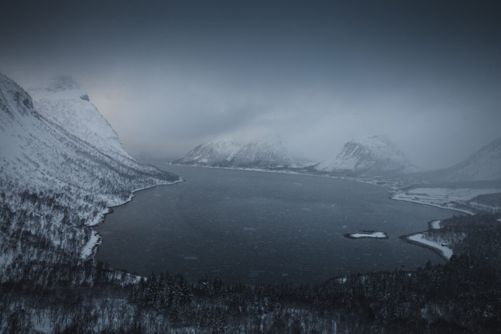 Senja37