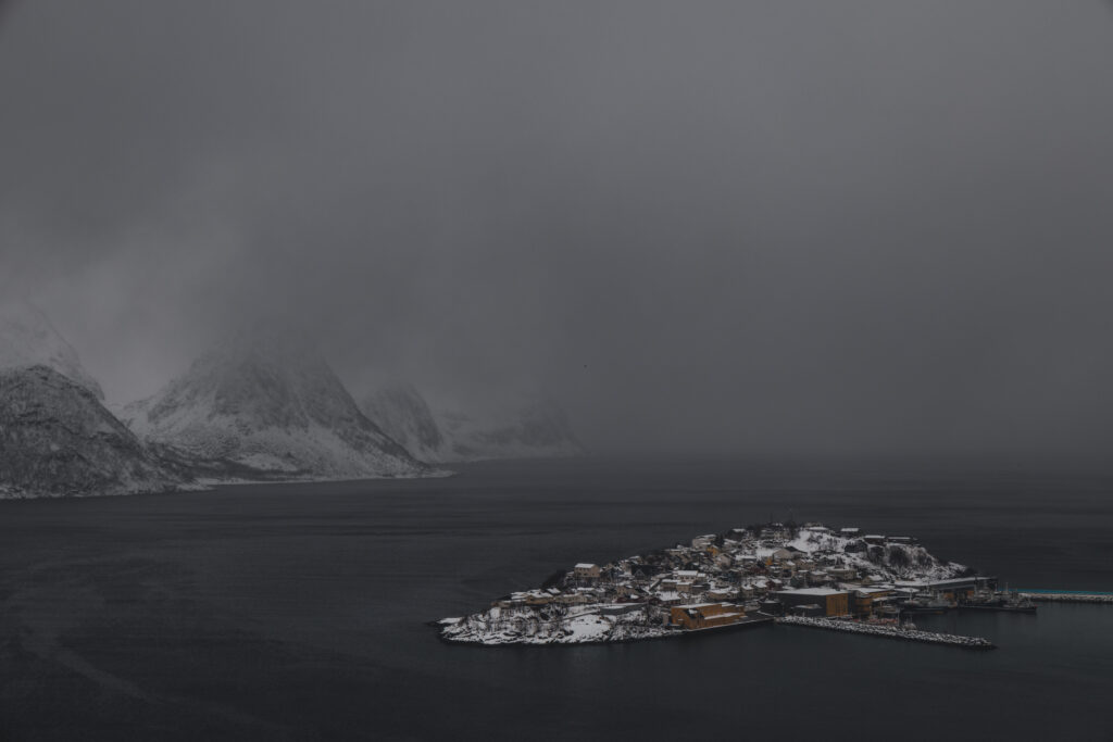 Senja38
