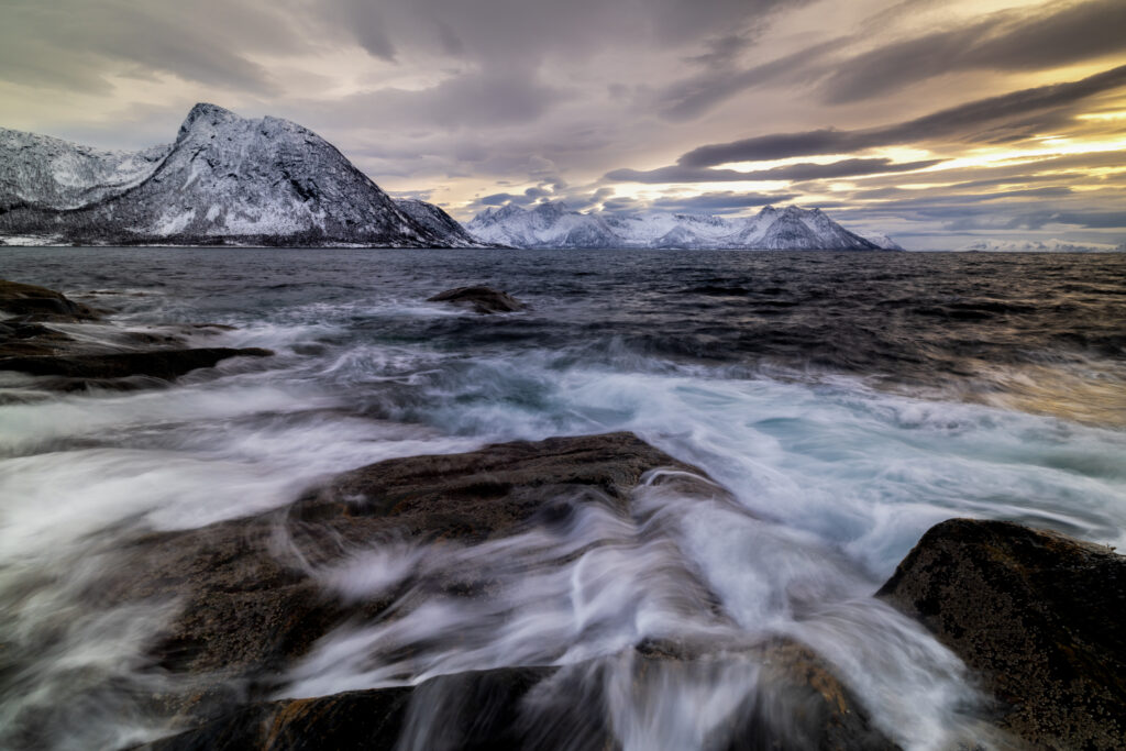 Senja40