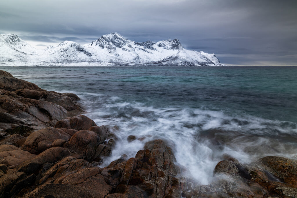 Senja41