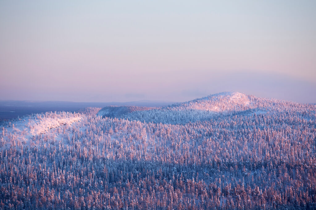 Winter landscape after sunrise seen from Ruka fjell near Kuusamo, Northern Finland