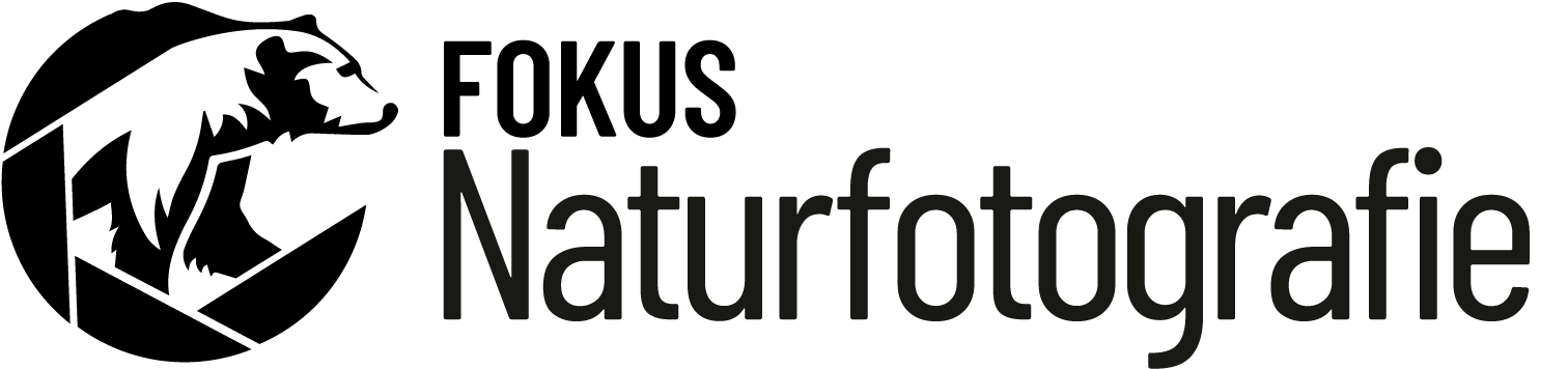 FNF_Logo_logo_pos