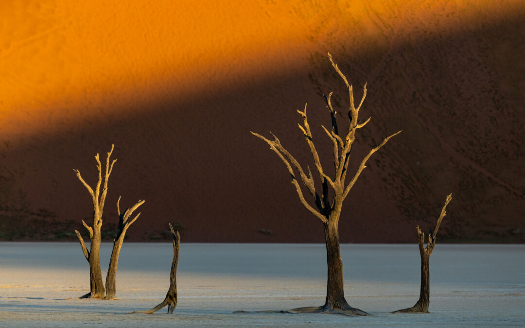 NAMIBIA April 2026 „Weite Wüste & wilde Tiere“