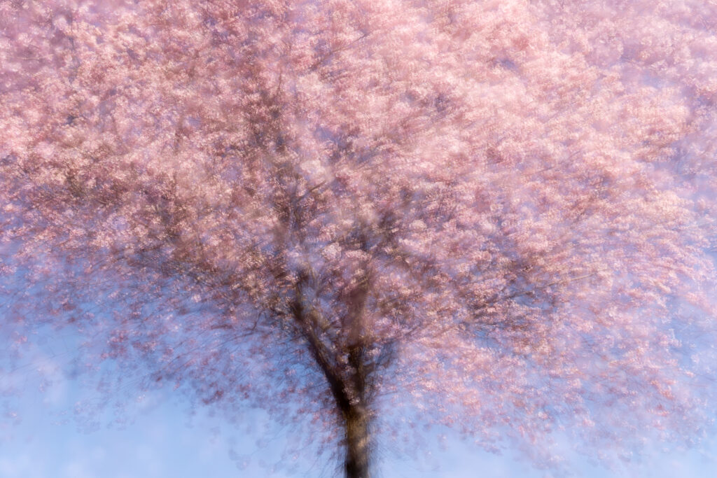 NatureISart