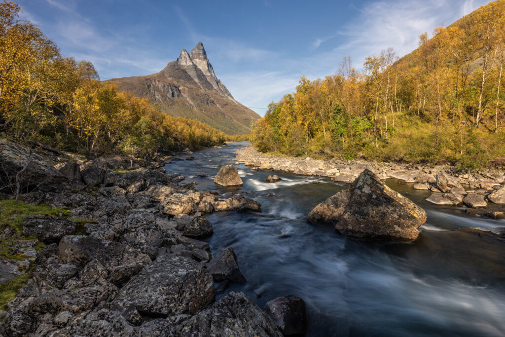Senja43