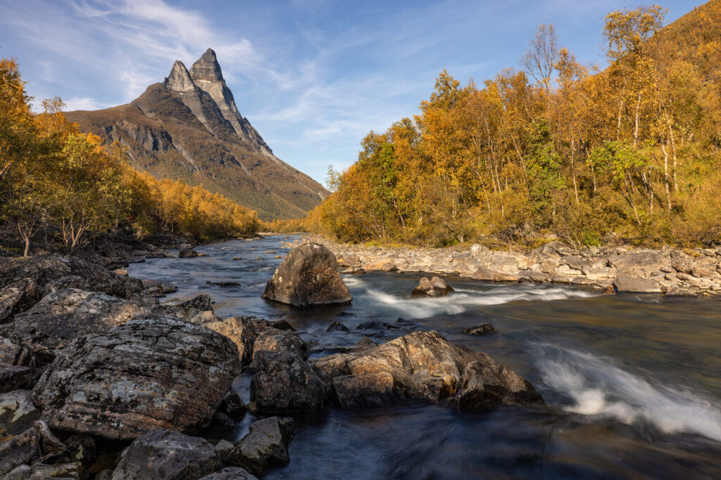 Senja44