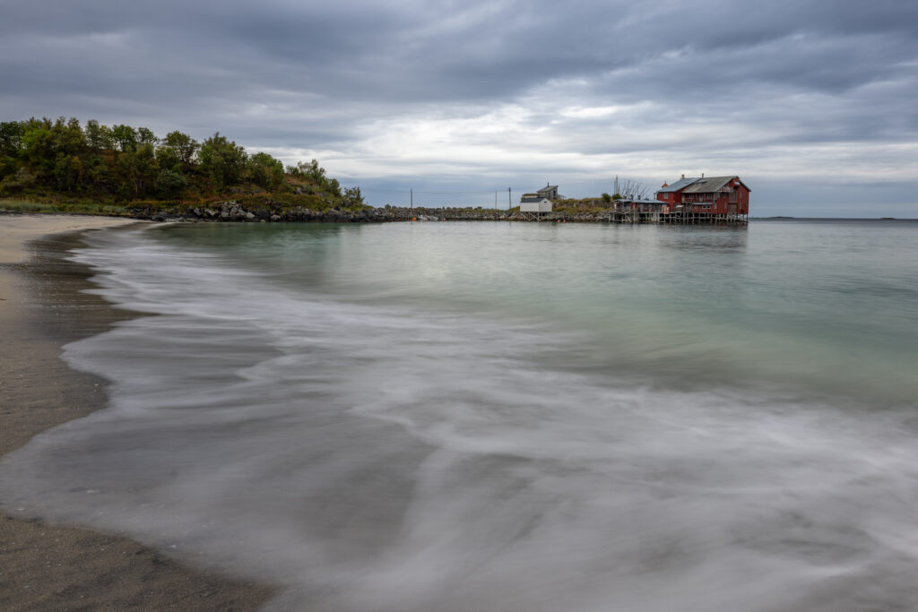 Senja46