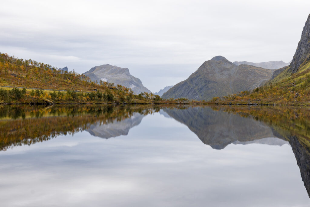 Senja47