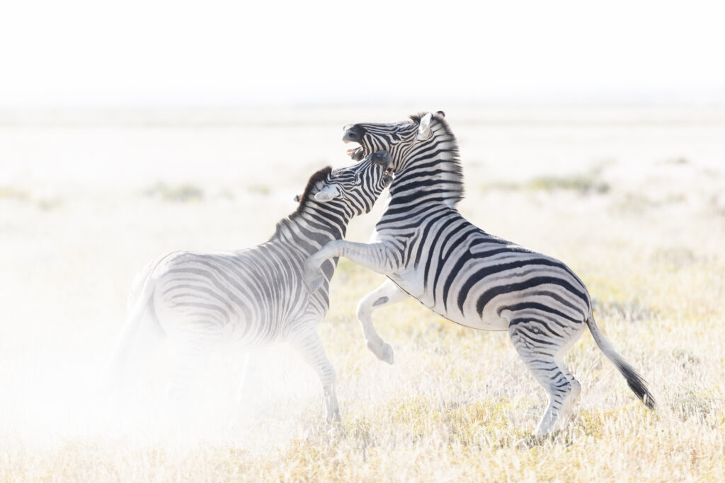 Namibia72