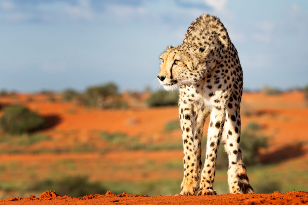 Namibia73