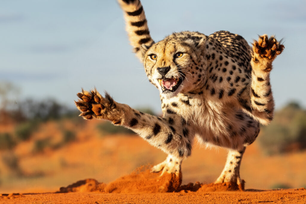 Namibia130
