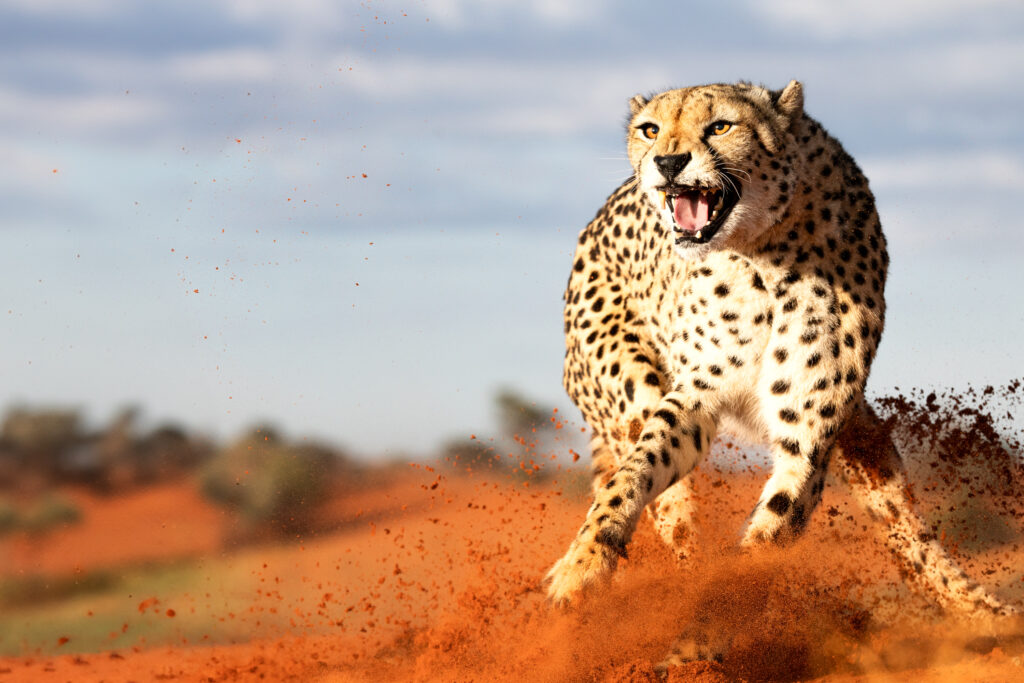 Namibia131