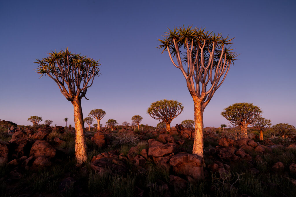 Namibia74