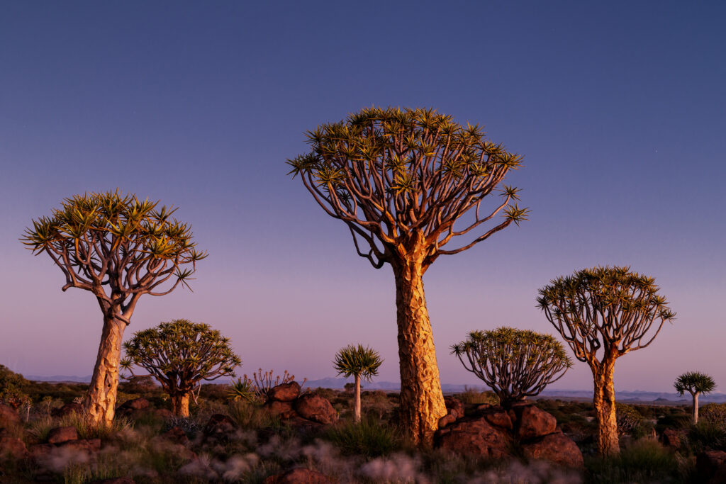 Namibia75
