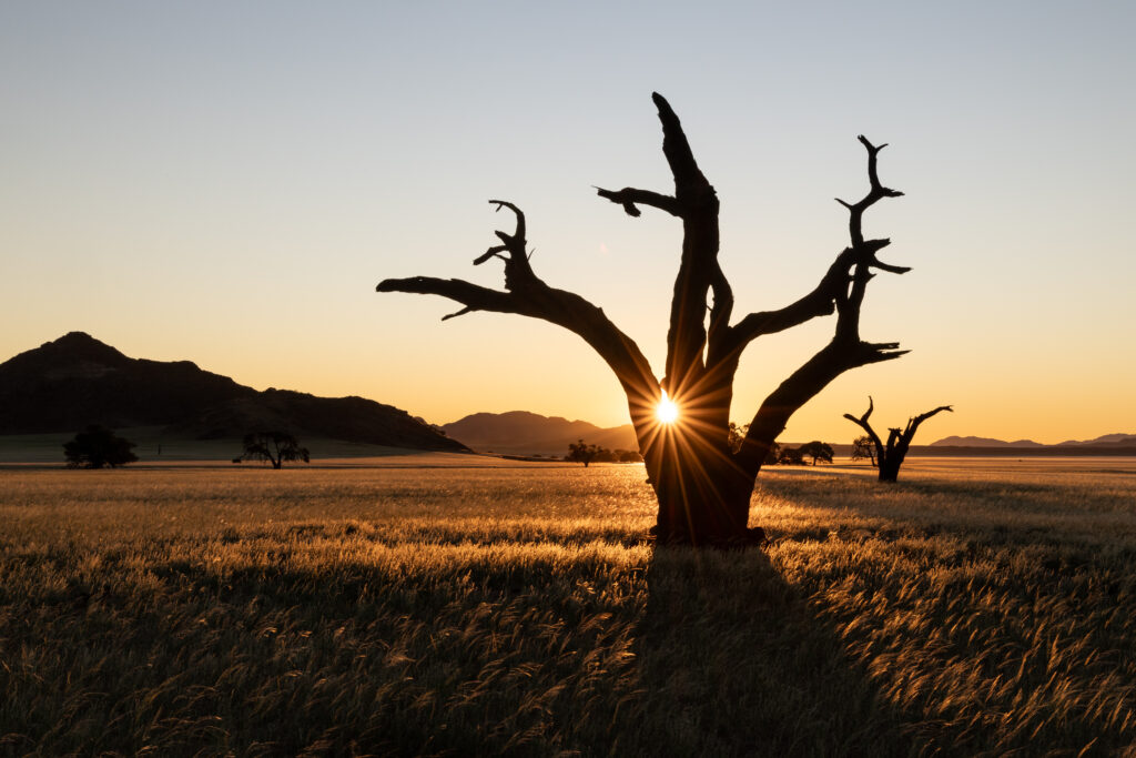 Namibia107