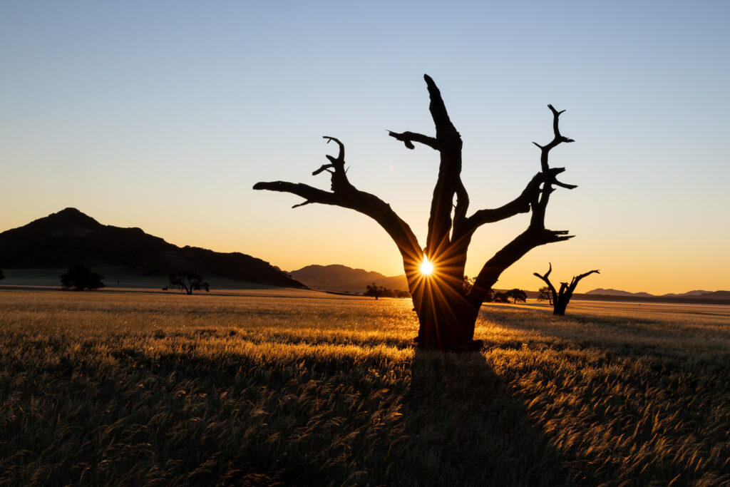 Namibia77