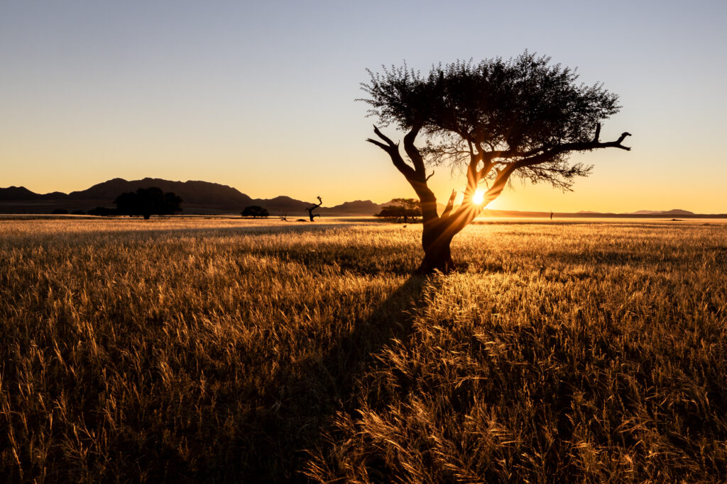 Namibia109