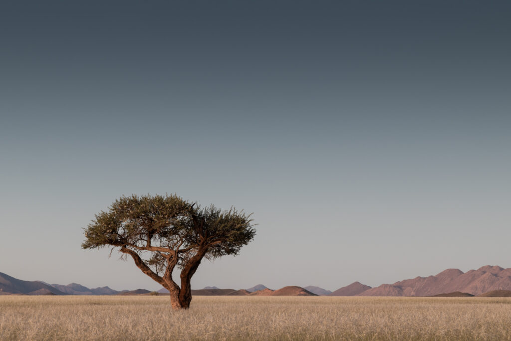 Namibia110