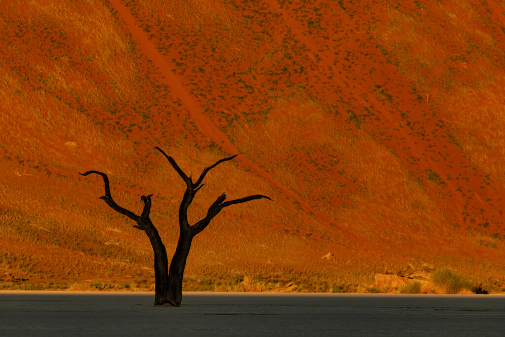 Namibia114