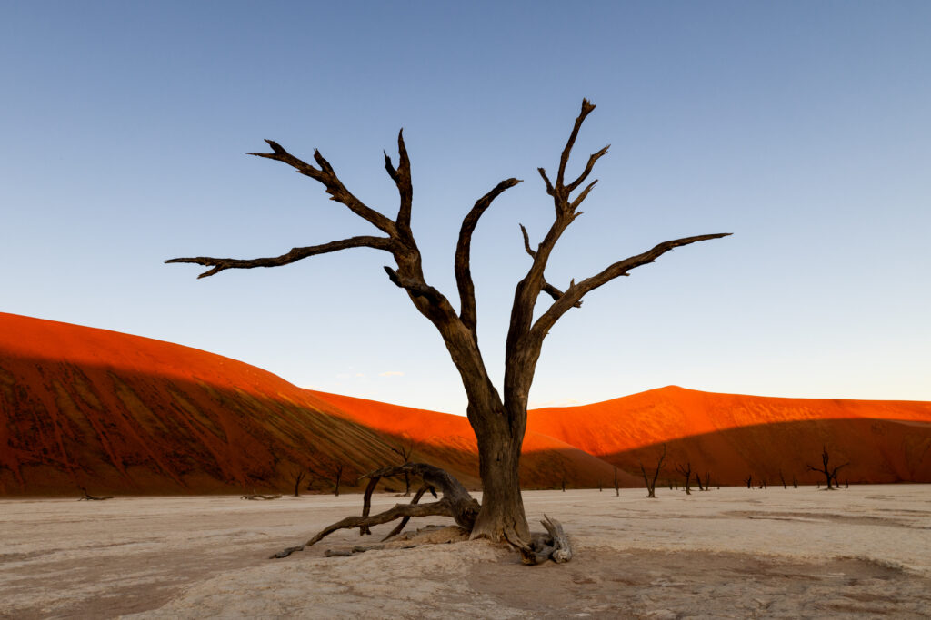 Namibia116