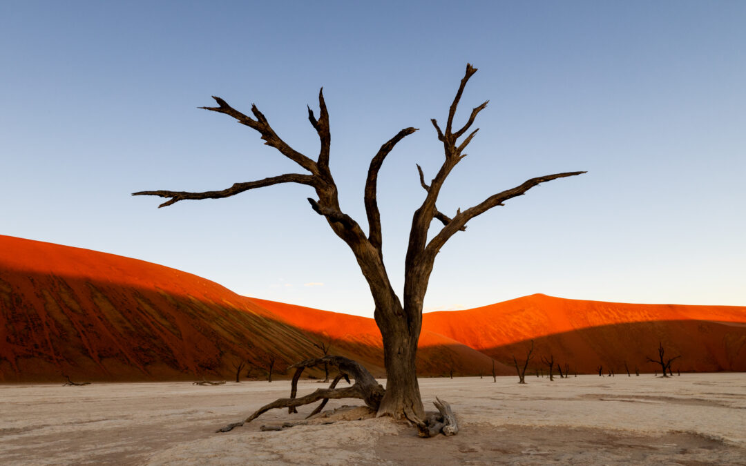 NAMIBIA März 2028 „weite Wüste & wilde Tiere“