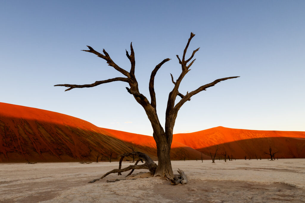 Namibia80