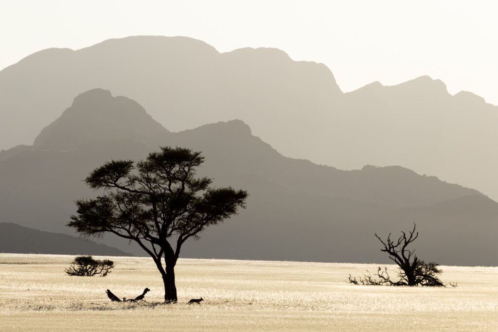 Namibia81
