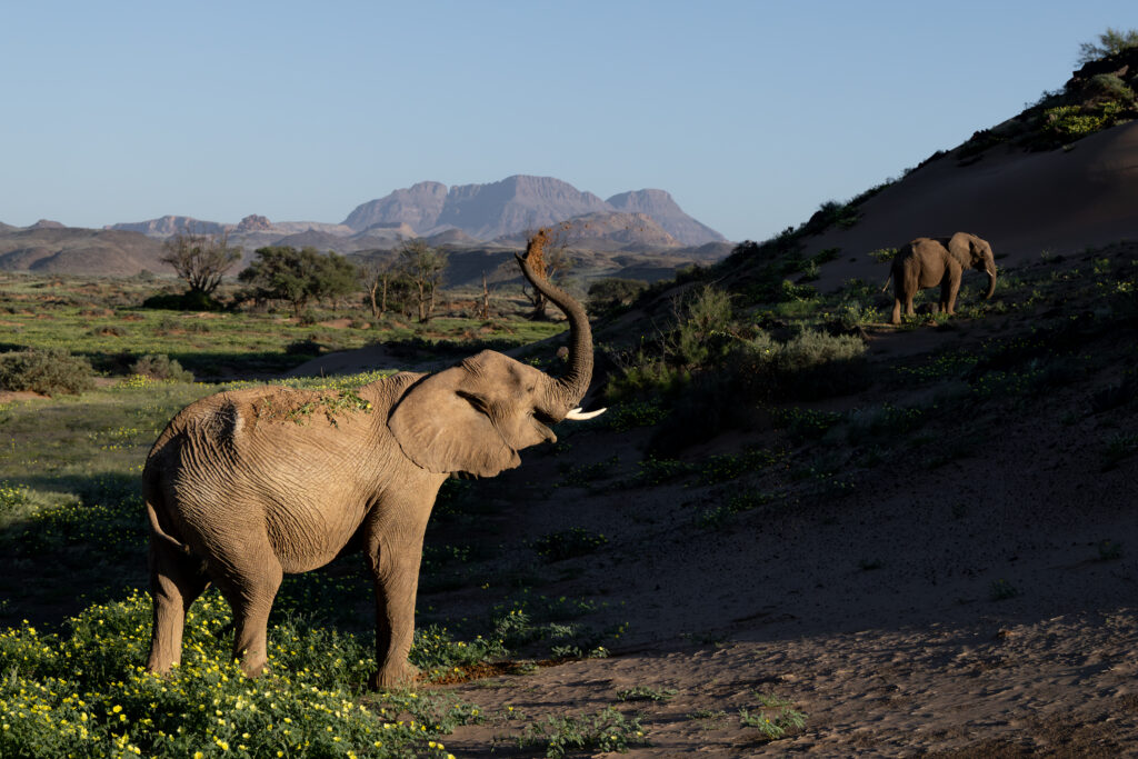 Namibia127