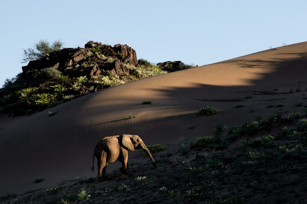 Namibia129