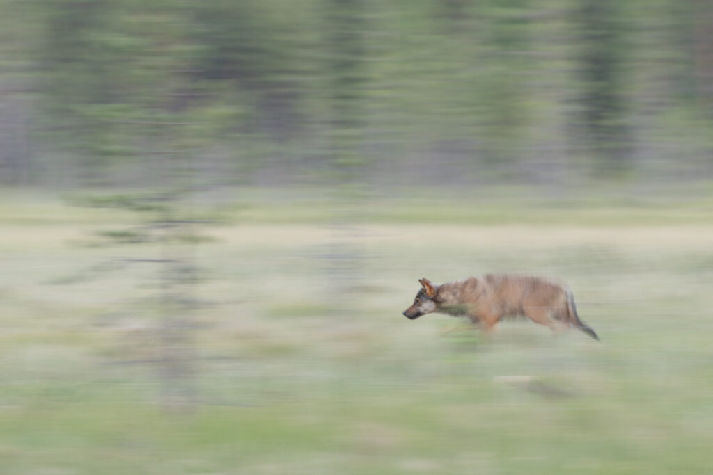 Finnland158