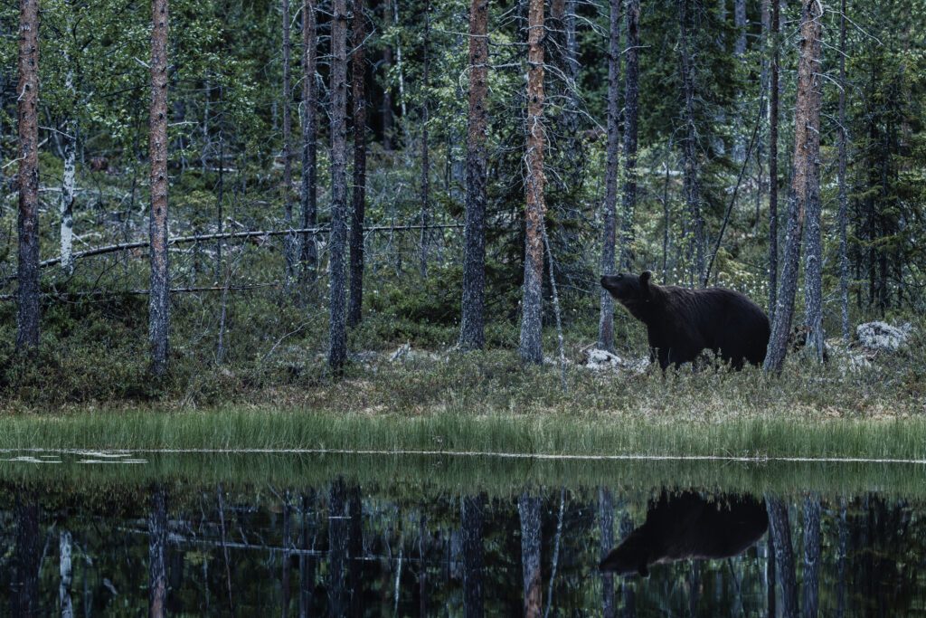 Finnland161