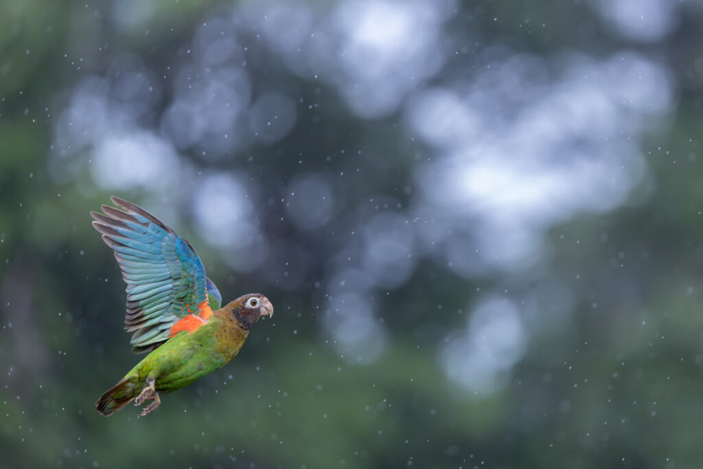 _INN2256-Bearbeitet-2