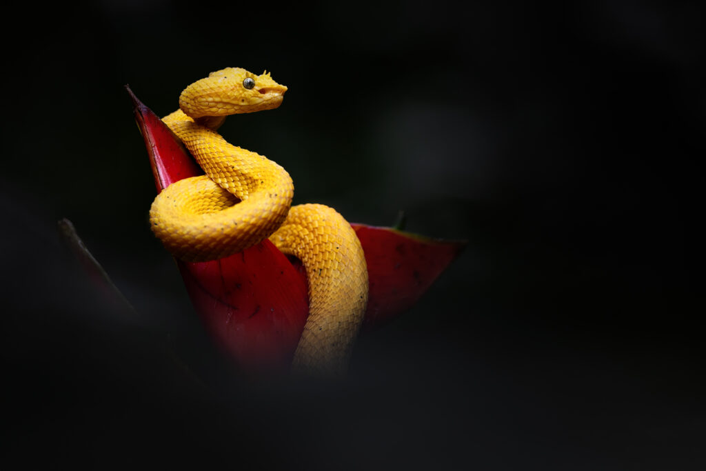 _INN6111-Bearbeitet-Bearbeitet