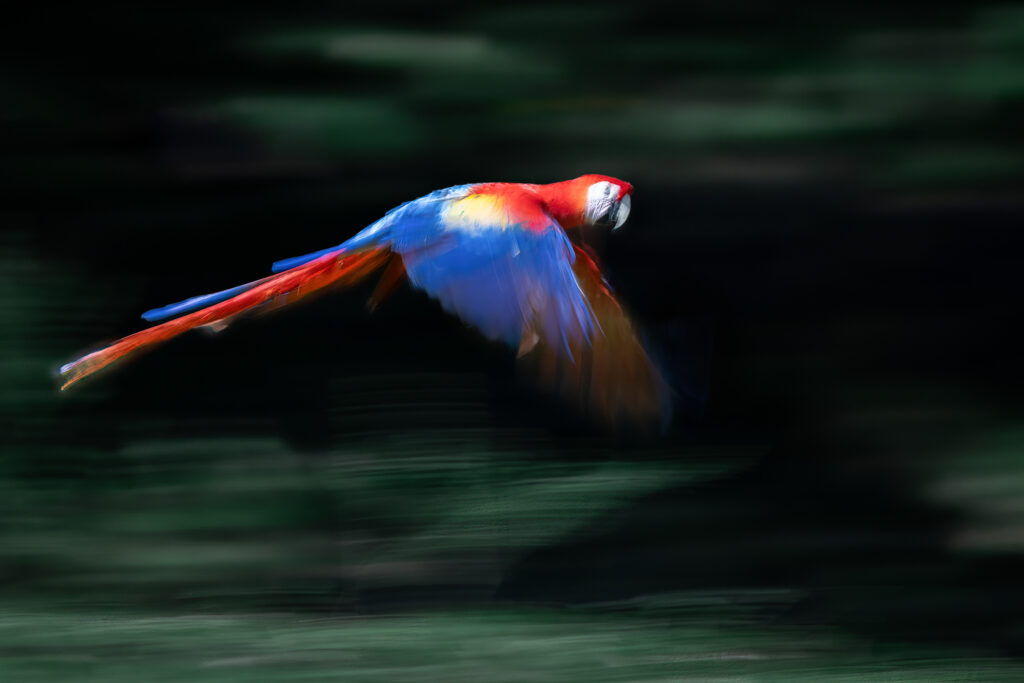 _INN8672-Bearbeitet-Bearbeitet