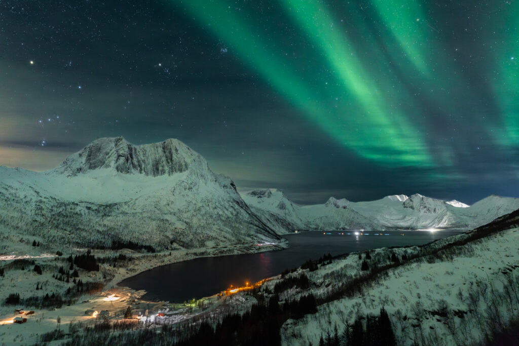 Senja71