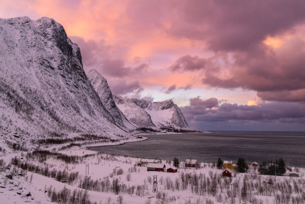 Senja77