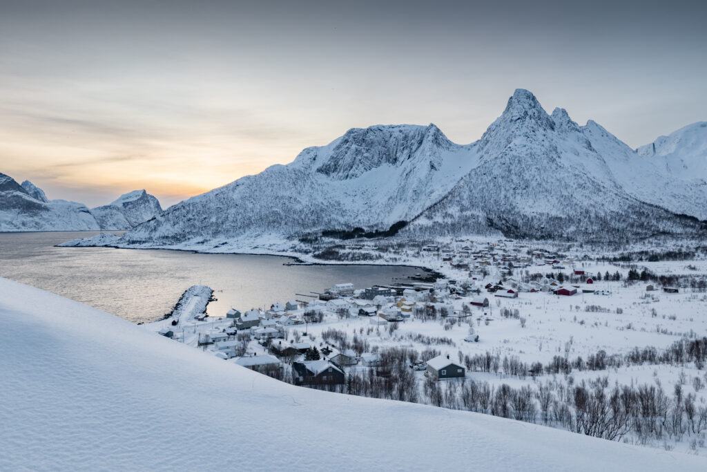Senja79