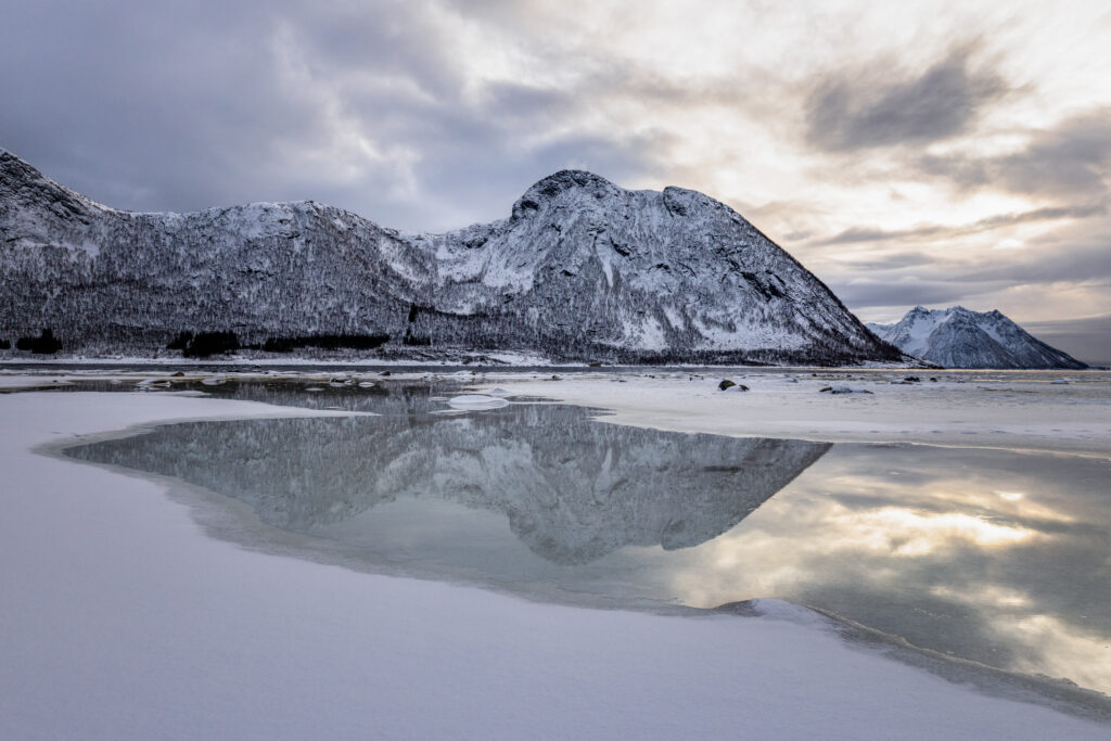 Senja88