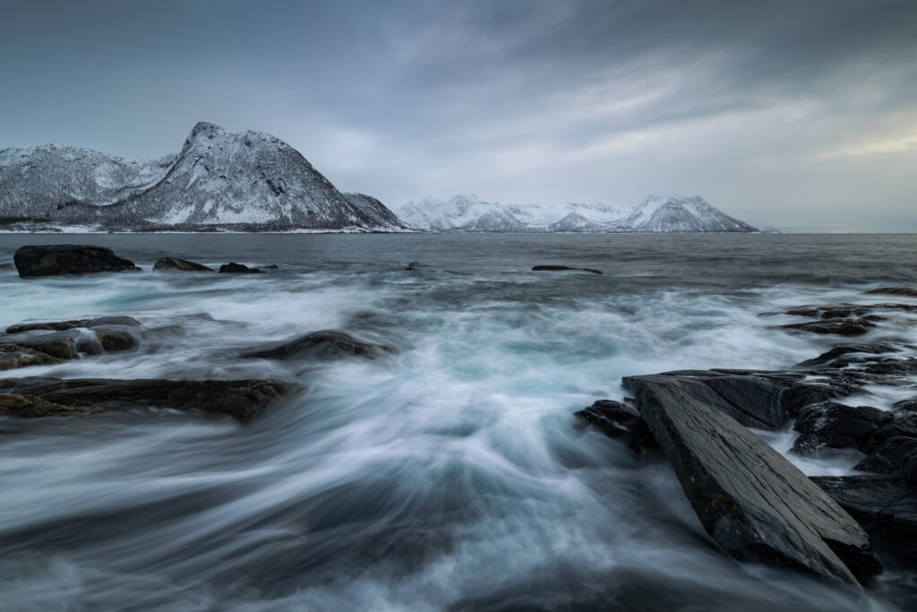 Senja89