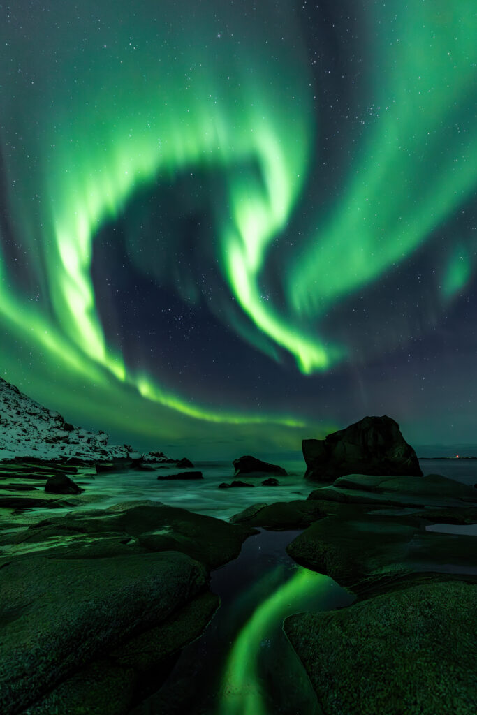 Lofoten309