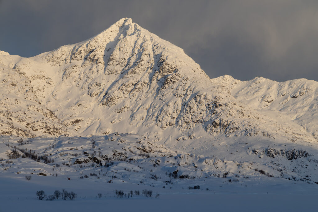 Lofoten317