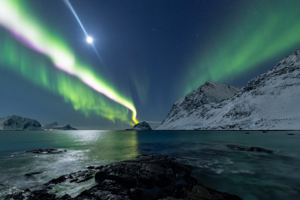 Lofoten346