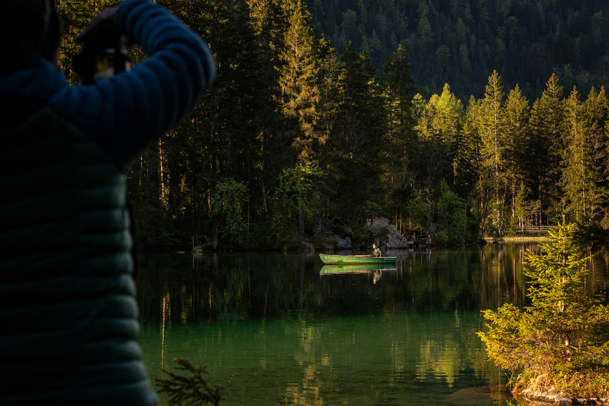 Wald