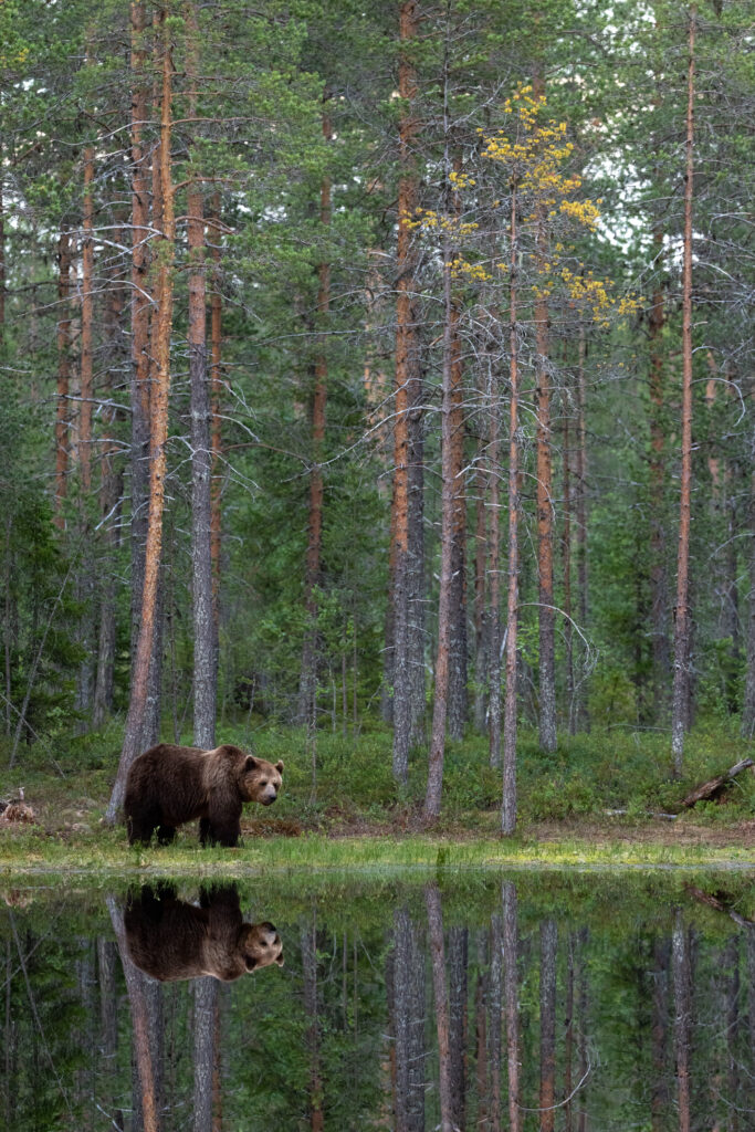 Finnland199