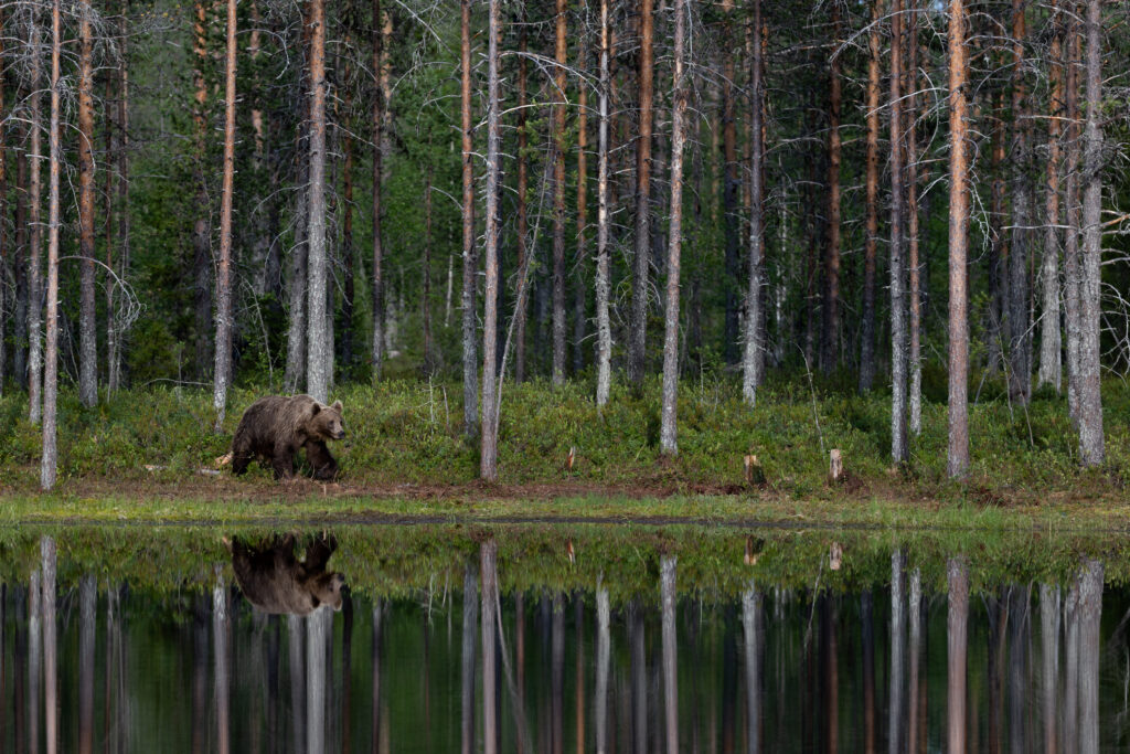 Finnland180