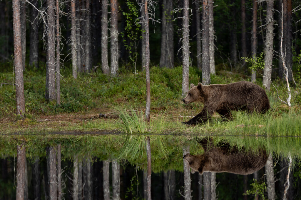 Finnland181