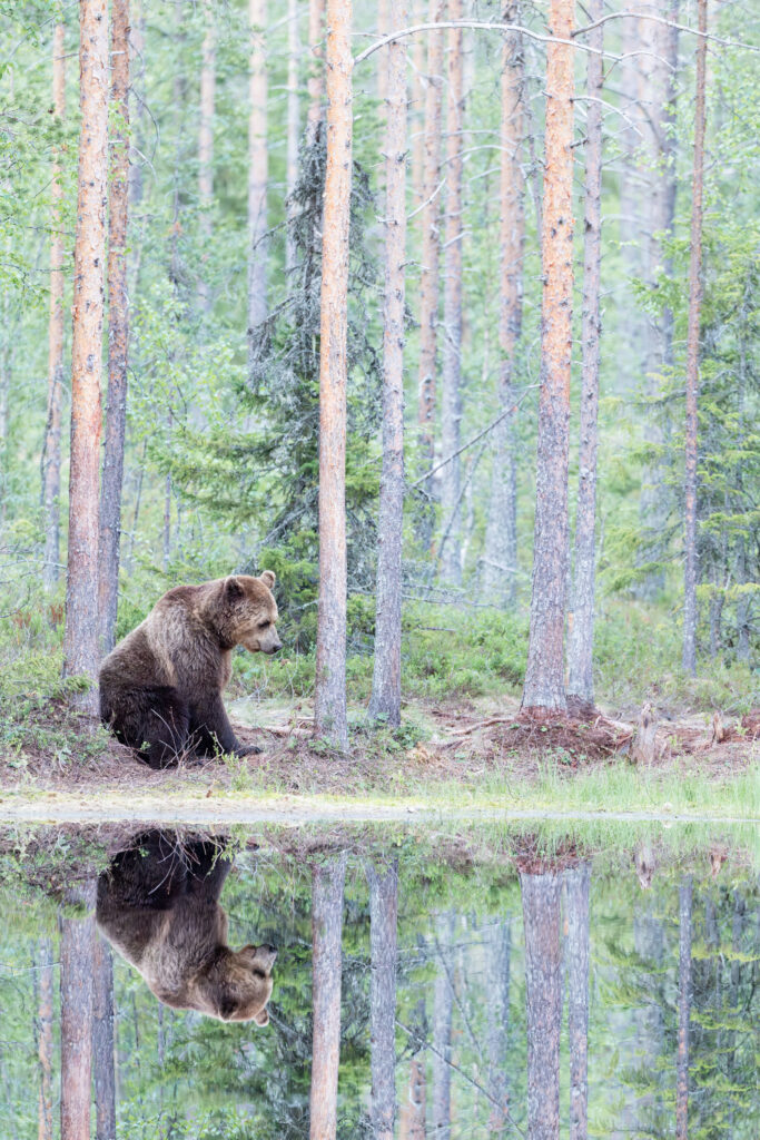 Finnland183